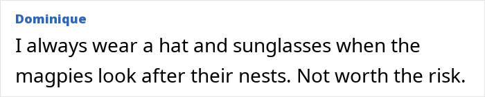 Comment from Dominique explaining wearing hat and sunglasses to avoid risks from magpies protecting their nests.