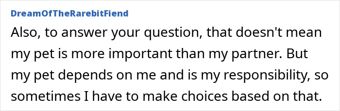 Text excerpt from a discussion about prioritizing a pet when stroking a cat during intimacy and making responsible choices.