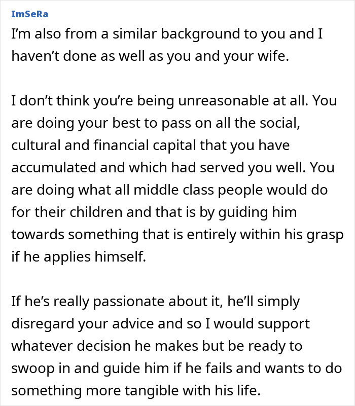 Alt text: User ImSeRa commenting on steering sons' career choices against dreams with practical guidance and support.