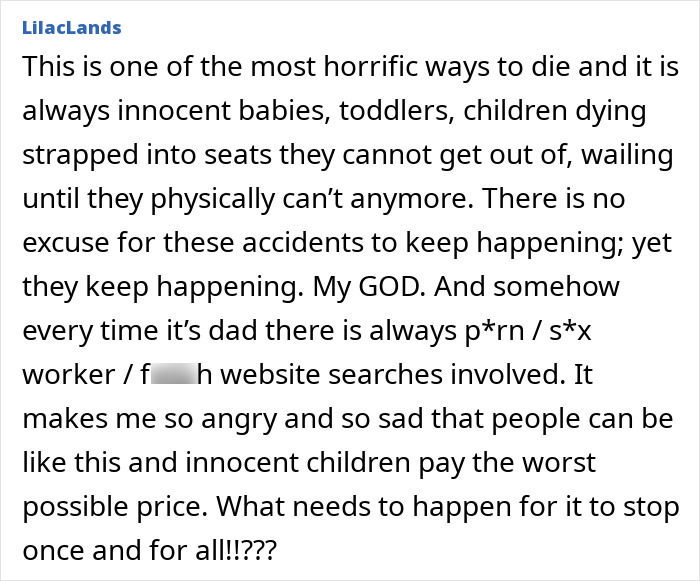 Comment discussing tragic deaths of toddlers in hot cars and the link to dads watching adult videos during incidents.