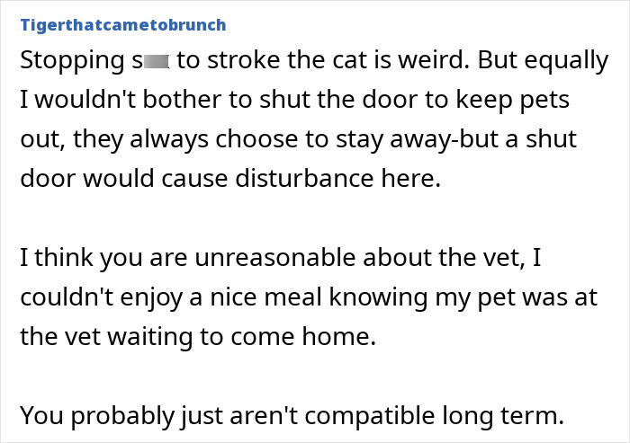 Person stroking a cat during intimacy, showing a close and affectionate moment between pet and owner.