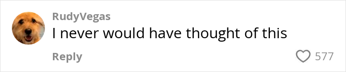 Comment by user RudyVegas with a dog avatar, saying they never would have thought of the disturbing toilet paper danger in public bathrooms.