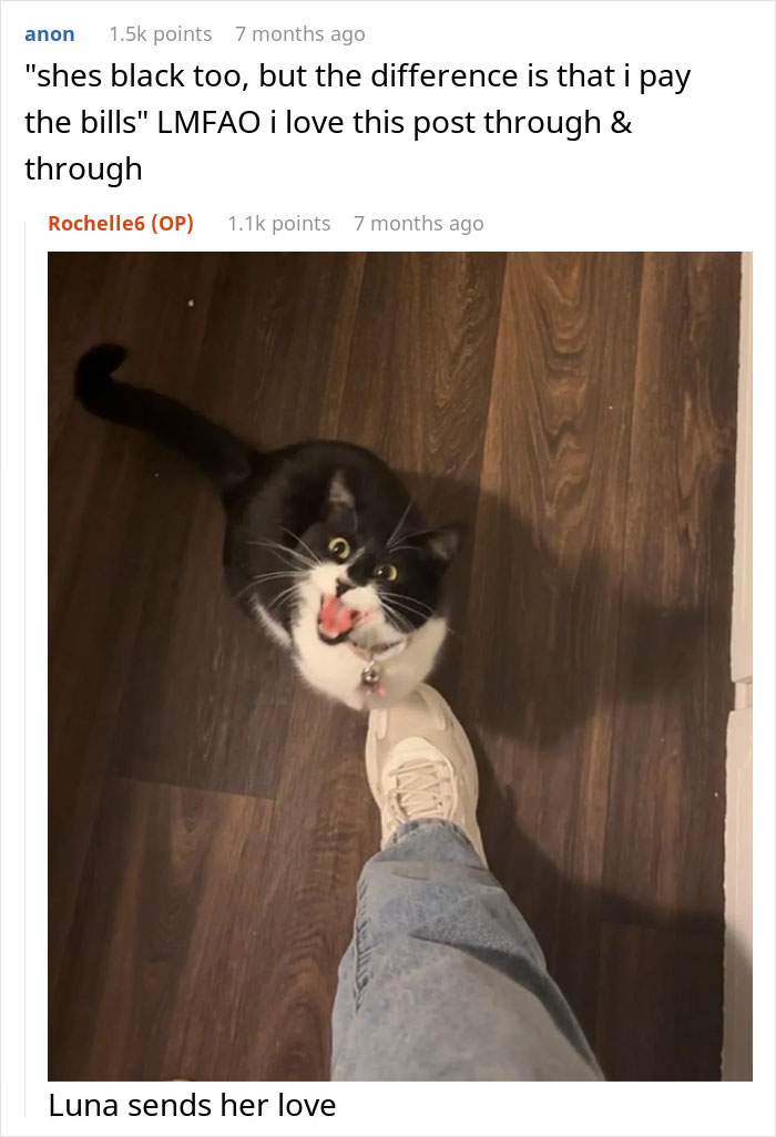 Black and white cat looking up next to a person's foot on a wooden floor, related to woman refusing to share chicken sandwich with cat.