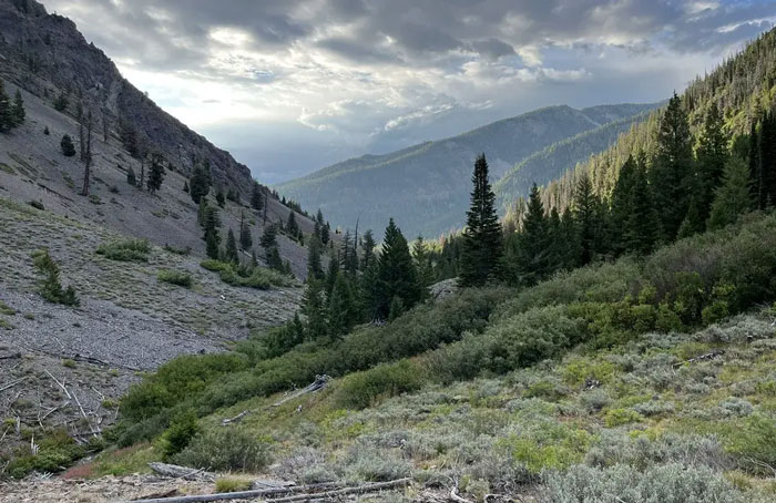 People Suspicious After Missing Hiker Was Found Roaming The Wilderness In Her Underwear
