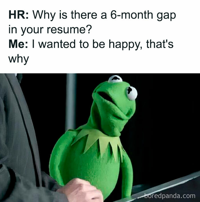 Work meme showing Kermit the Frog with text about a 6-month resume gap and relatable job humor.