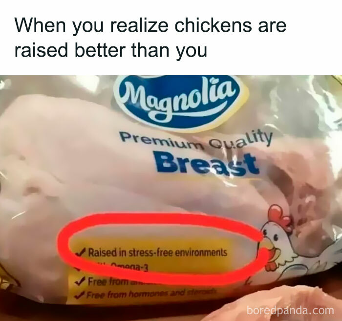 Work meme showing chicken packaging labeled raised in stress-free environments with caption about being raised better.