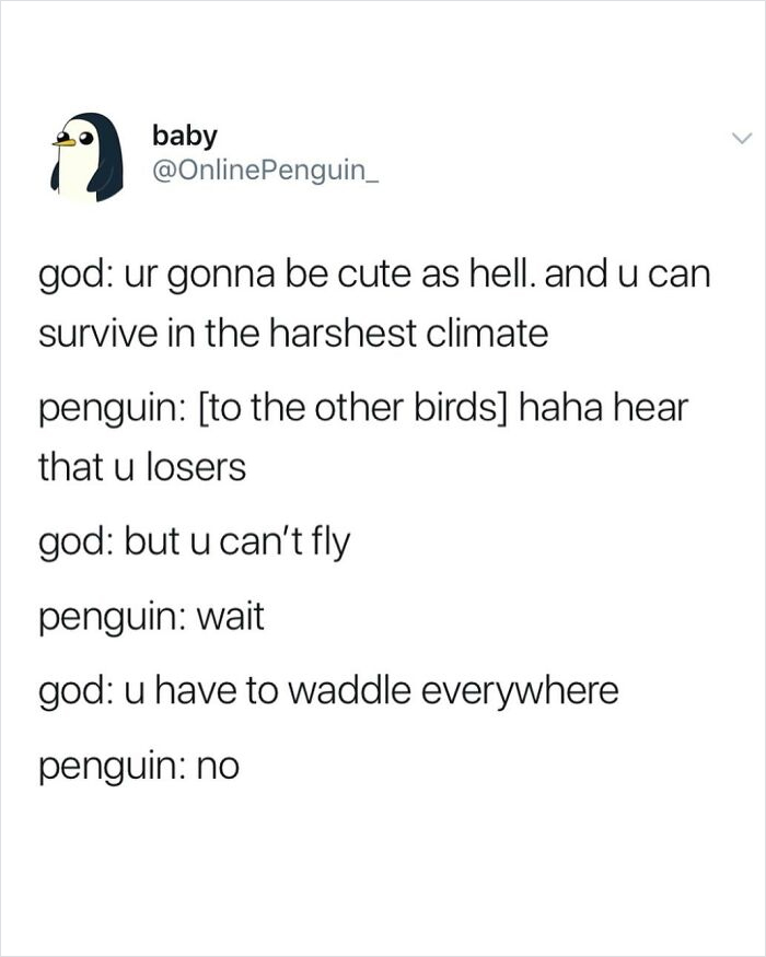 Funny chaotic tweet about a penguin's struggle to be cute and survive without flying, showcasing humor in tweets.
