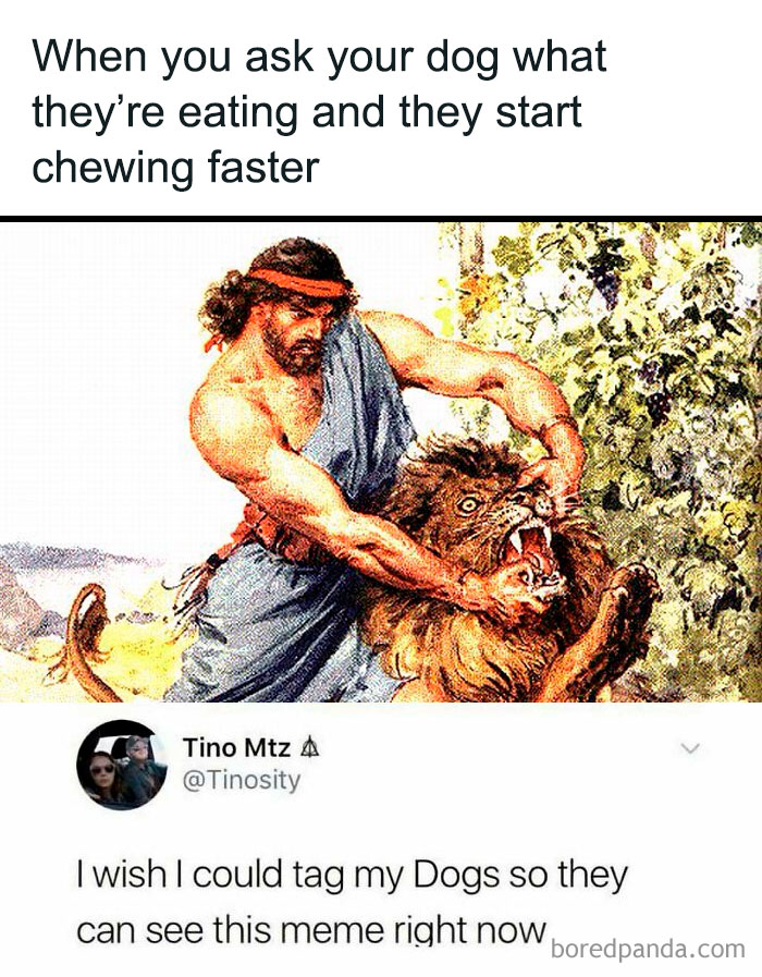 Ancient painting humorously captioned with modern text about a man and a fierce lion, showcasing comedy gold.