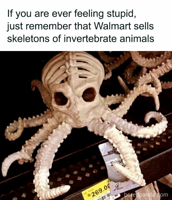 Skeleton of invertebrate animal for sale displayed on shelf in a Walmart store, unusual People of Walmart sighting.
