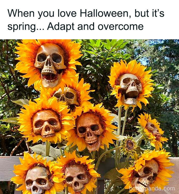 Sunflowers with skull faces in a garden, combining horror and Halloween themes for relatable horror fans.
