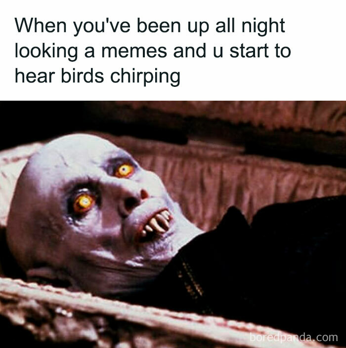 Horror movie meme of a vampire with glowing eyes lying awake in a coffin after staying up all night laughing.