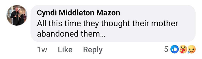 Comment text expressing sadness and realization about sisters believed abandoned by their mother, related to miracle discovery case.