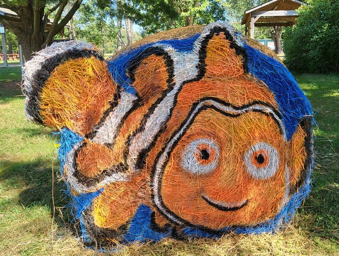 Halloween hay bale art featuring a colorful fish design in an outdoor park setting with trees and grass surrounding it.