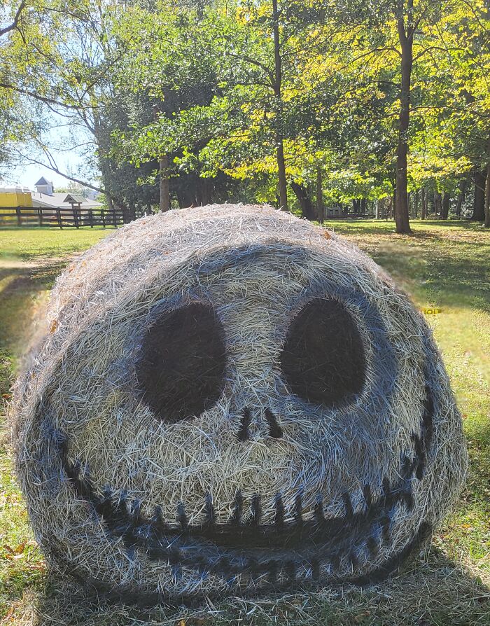 Halloween hay bale art featuring a spooky skull face, set outdoors in a sunny, tree-filled area.