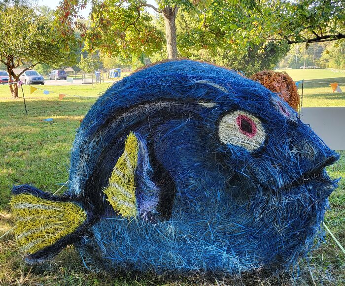 Halloween hay bale art shaped like a colorful blue fish with yellow fins displayed outdoors on a sunny day.
