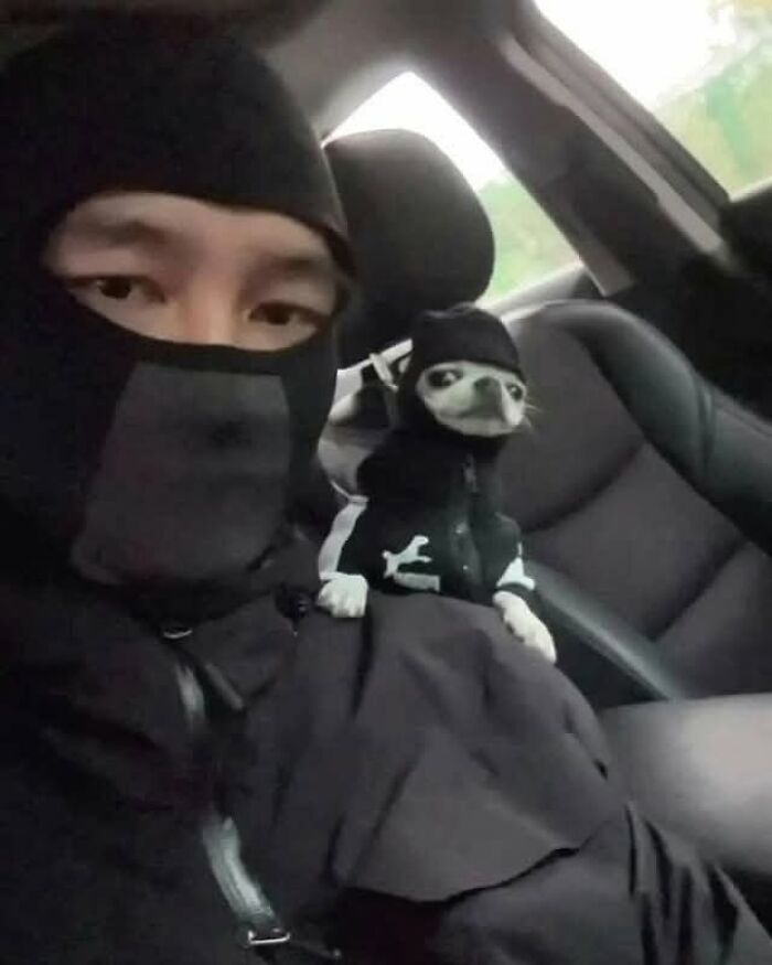Man and small dog dressed in matching black outfits inside a car, sharing a funny moment from animal photos collection.