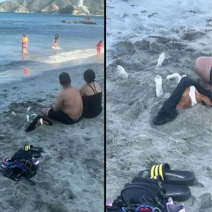 Two people sitting on a beach near the ocean with a dog buried in the sand, showcasing joyful animal moments online.
