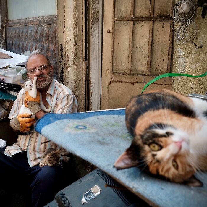 Man holding a cat with another cat lounging nearby, capturing life on Istanbul’s streets with plenty of cats.