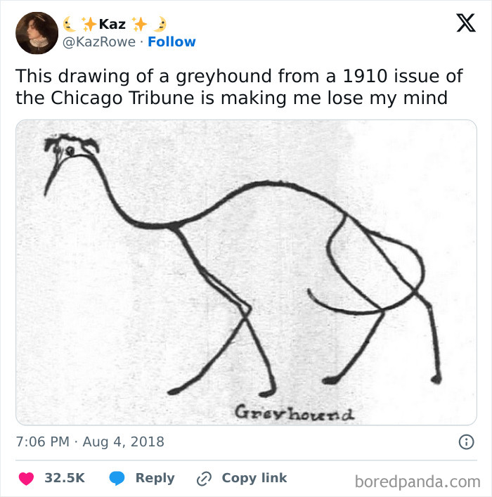 Animal-Humor-Pics-Animalxhumor