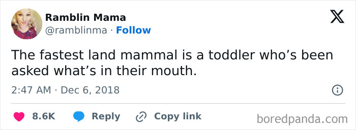 Tweet by Ramblin Mama humorously describing a toddler as the fastest land mammal when asked about something in their mouth, parenting memes.