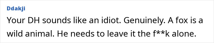 Text message showing someone calling their husband an idiot for wanting to install a cat flap for a pet fox.