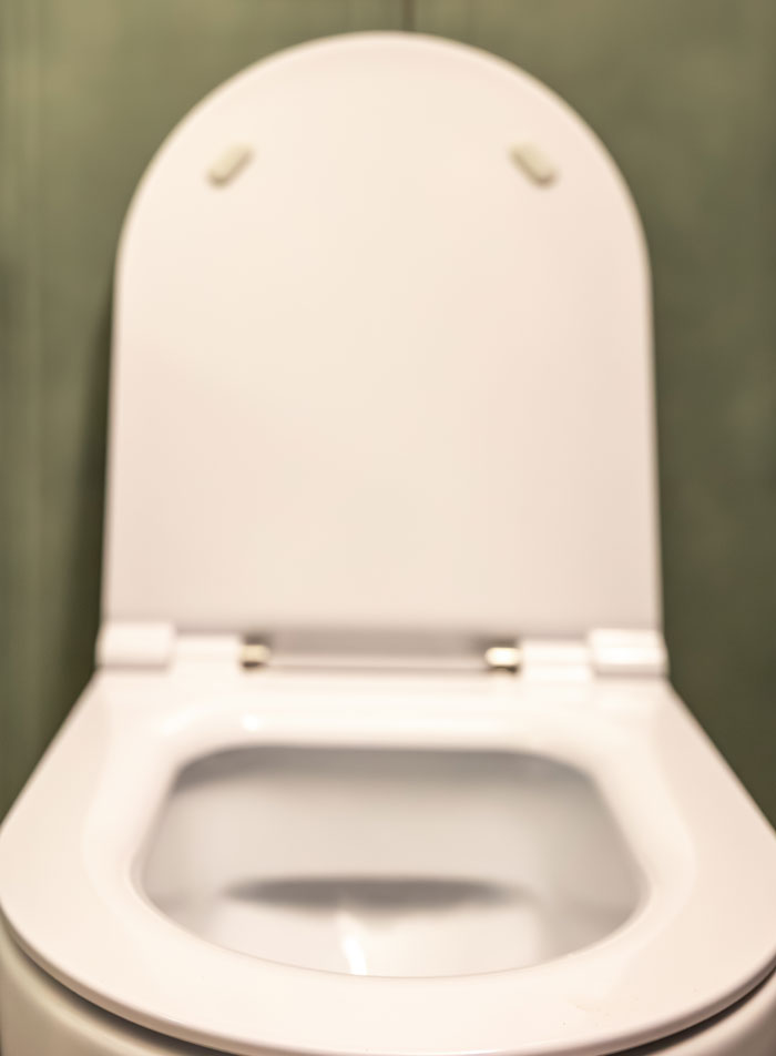 Close-up of a white toilet bowl with the lid open against a green bathroom wall, symbolizing unexpected family secrets daycare workers heard.