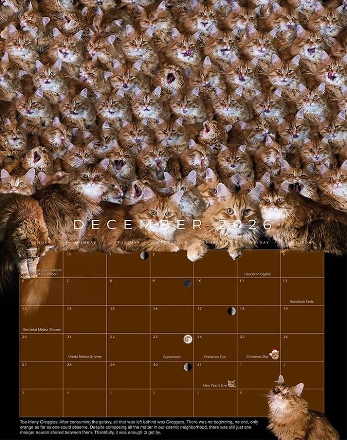 Calendar for December 2026 featuring a rescue cat as a cosmic superstar in a feline space-themed layout.