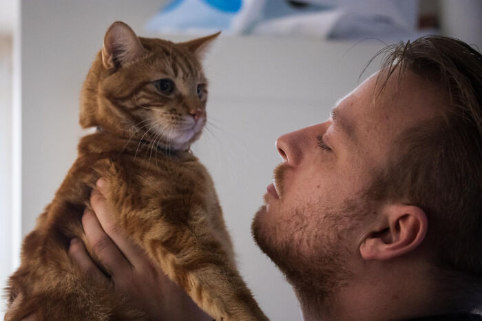 Man holding an orange tabby cat closely, highlighting the most destructive thing cat ever done in a calm indoor setting.