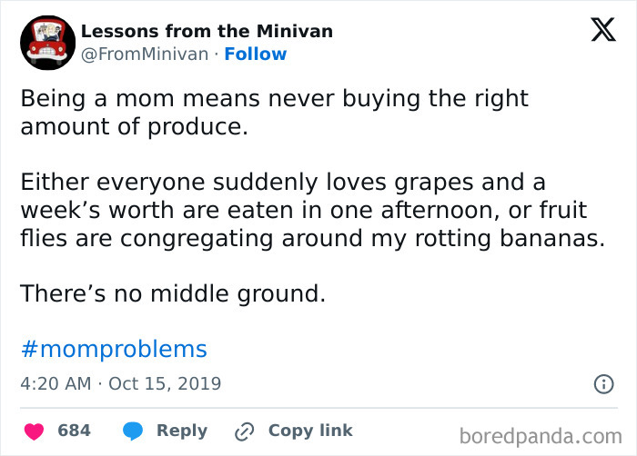 Parenting meme about the challenges of buying produce including fruit flies and kids eating grapes too fast.