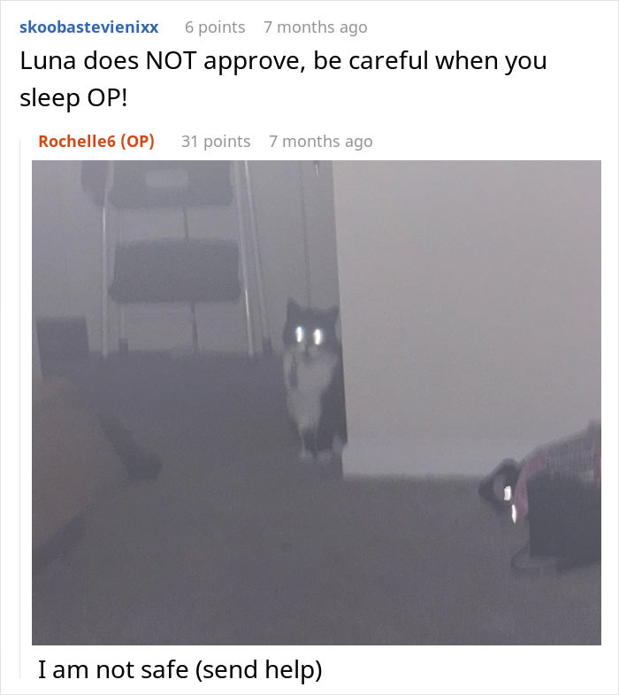 Cat with glowing eyes in a dim room, implying refusal to share chicken sandwich and woman wondering if she&rsquo;s the jerk.