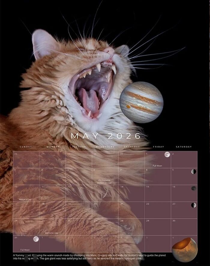 Orange rescue cat with mouth open next to planet Jupiter on a 2026 feline space calendar page for May.