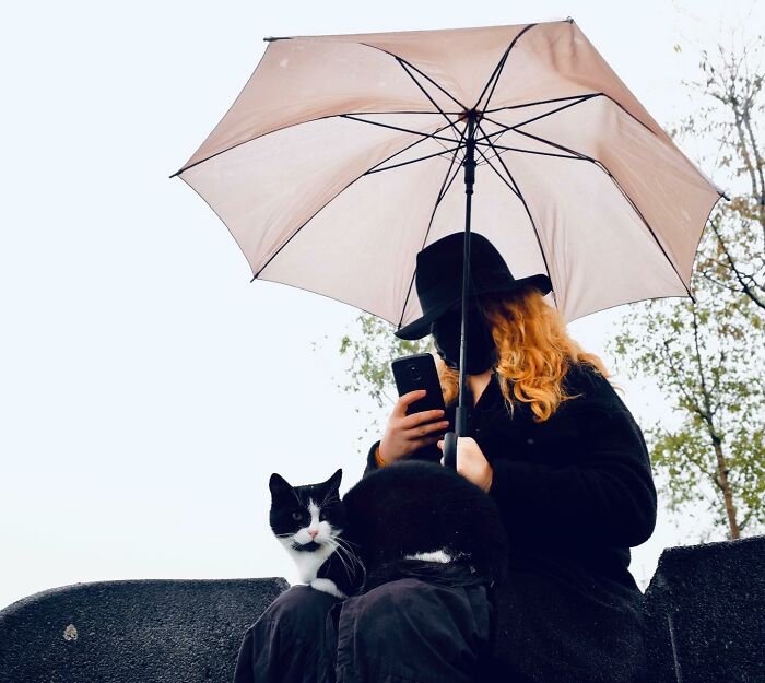 Person holding umbrella and smartphone with a black and white cat on their lap on Istanbul’s streets.