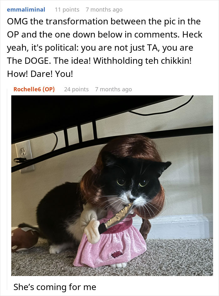 Black and white cat dressed with a wig and pink outfit, holding a chicken sandwich in its mouth, political humor.