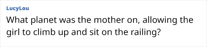Comment questioning mom's behavior allowing girl to climb and sit on Disney cruise ship railing before ocean plunge incident.