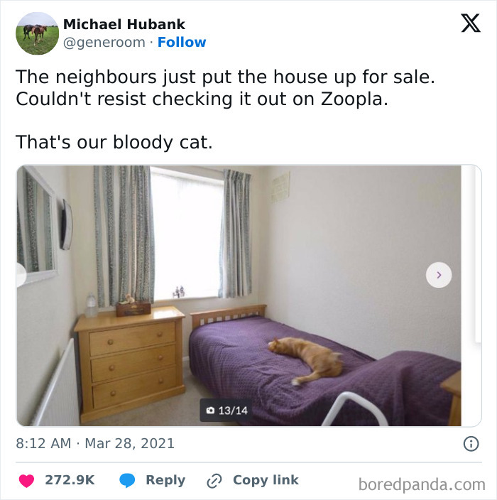 Tweet about neighbors selling their house with a cat lying on a bed in a simple, cozy bedroom, cat memes theme.