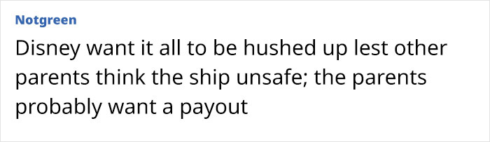 Comment about Disney cruise ship safety and parents' reactions after girl's terrifying ocean plunge revealed.