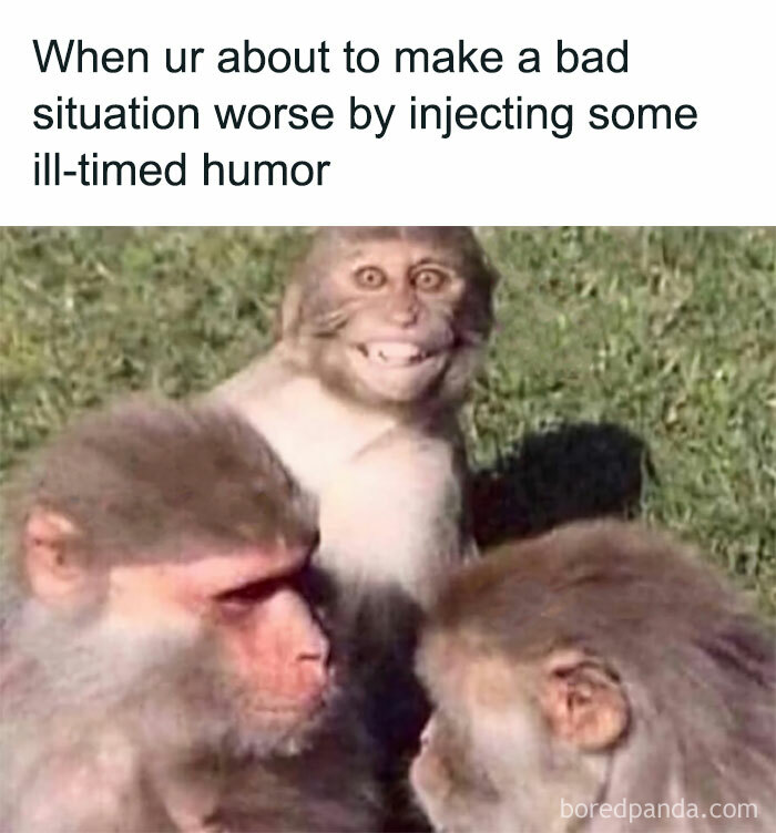 Three monkeys outdoors with one monkey smiling awkwardly, illustrating hilarious and relatable memes about work stress.