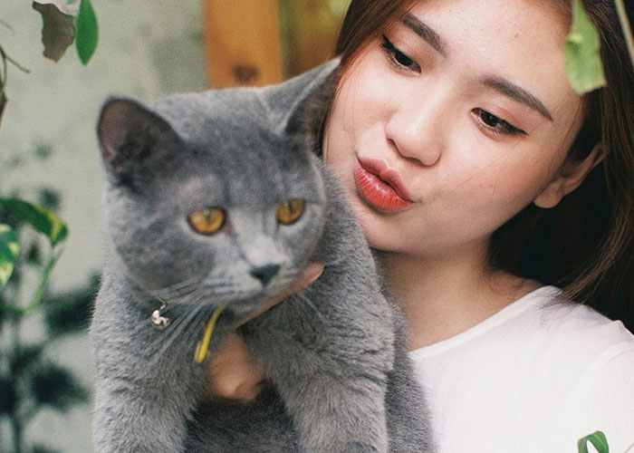 Woman holding a gray cat, showcasing bizarre cat hacks that owners discovered and that actually work for pet care.