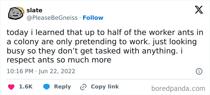 Tweet about worker ants pretending to work, featured in funny and random memes from Thunder Dungeon for laughs.