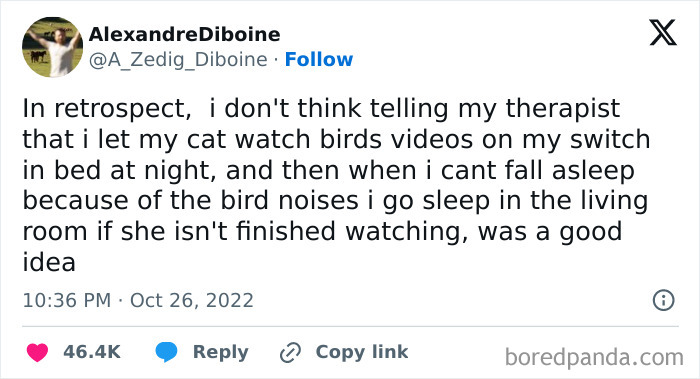 Funny and relatable meme about letting a cat watch bird videos on a Switch and struggling to sleep due to bird noises.
