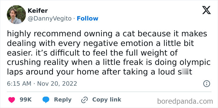 Tweet about how owning a cat can ease negative emotions, shared in popular cat memes on social media.