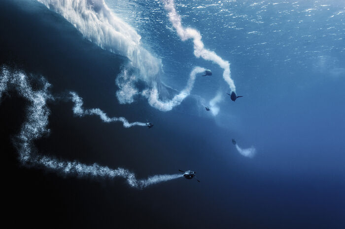 Underwater divers releasing bubbles, capturing stunning deep sea mysterious creatures in dark ocean depths.