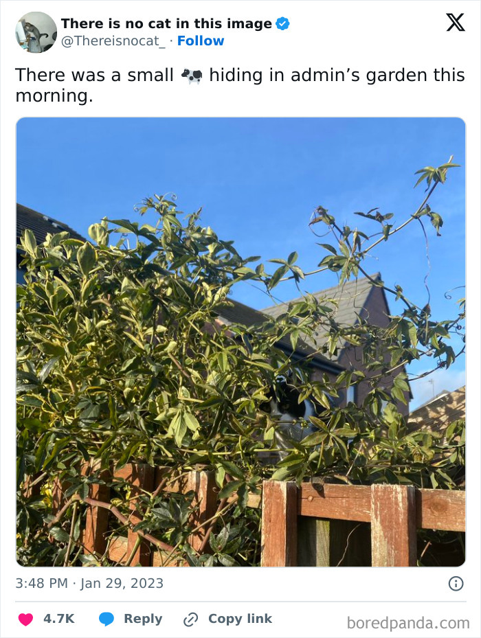 Cat camouflaged among green leaves and vines in garden, blending seamlessly into the natural background.
