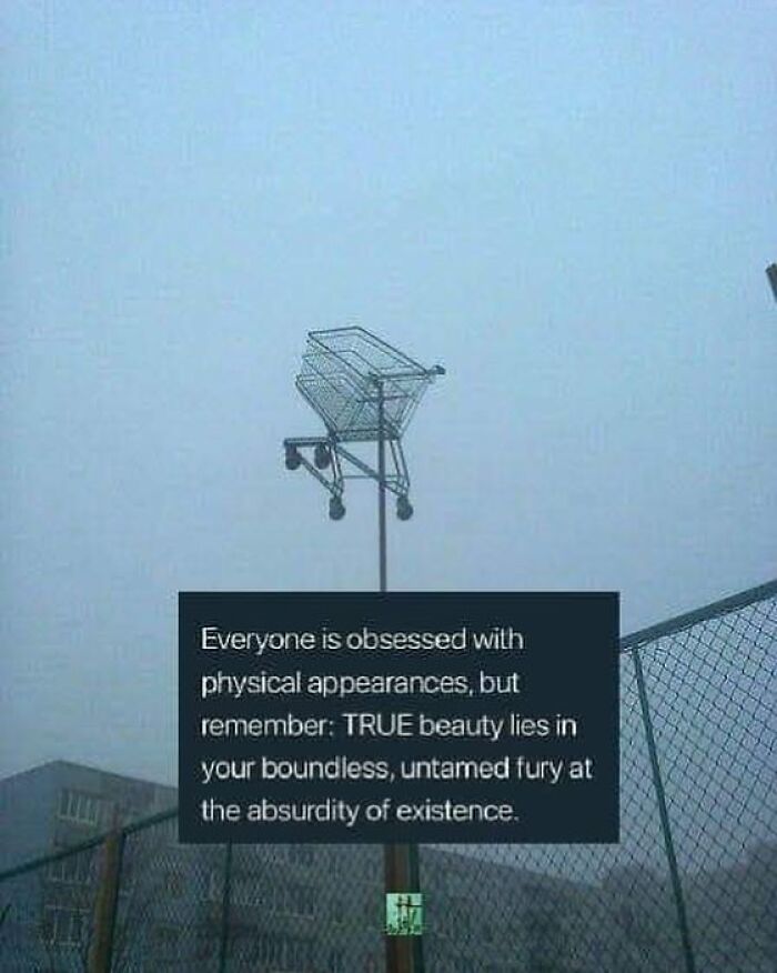 Confusing image of a shopping cart stuck on top of a pole above a fence, creating a weird and unexpected scene.