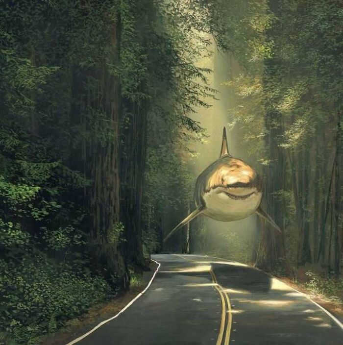 A large shark appears to float above a forest road, creating one of the most confusing images that only gets weirder the longer you look.