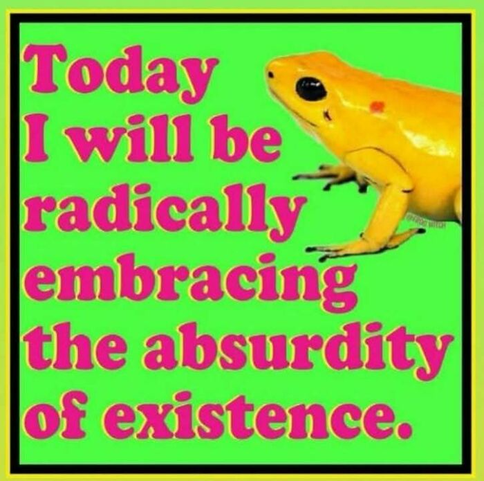 Bright yellow frog next to pink text on green background embracing the absurdity of existence in a confusing image.