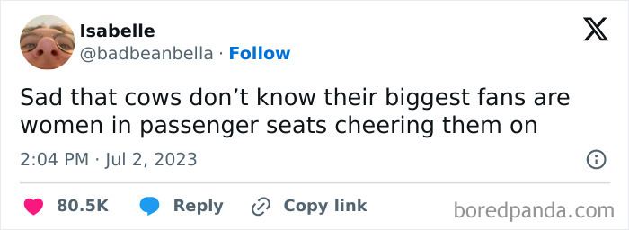 Tweet about cows not knowing their biggest fans are women cheering from passenger seats, a funny and random meme from Thunder Dungeon.