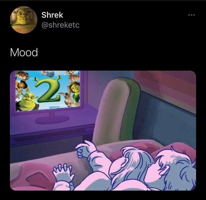 Couple lying in bed watching Shrek 2 on TV, a relatable meme capturing relationship humor and moods.