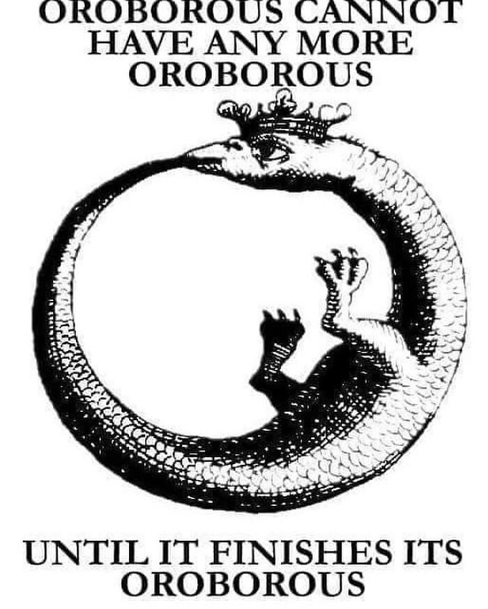 Black and white drawing of an ouroboros dragon forming a circle with text about confusing images and things getting weirder.