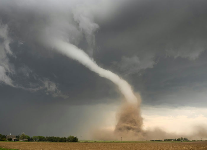 50 Of The Wildest “We Need To Leave Right Now” Stories